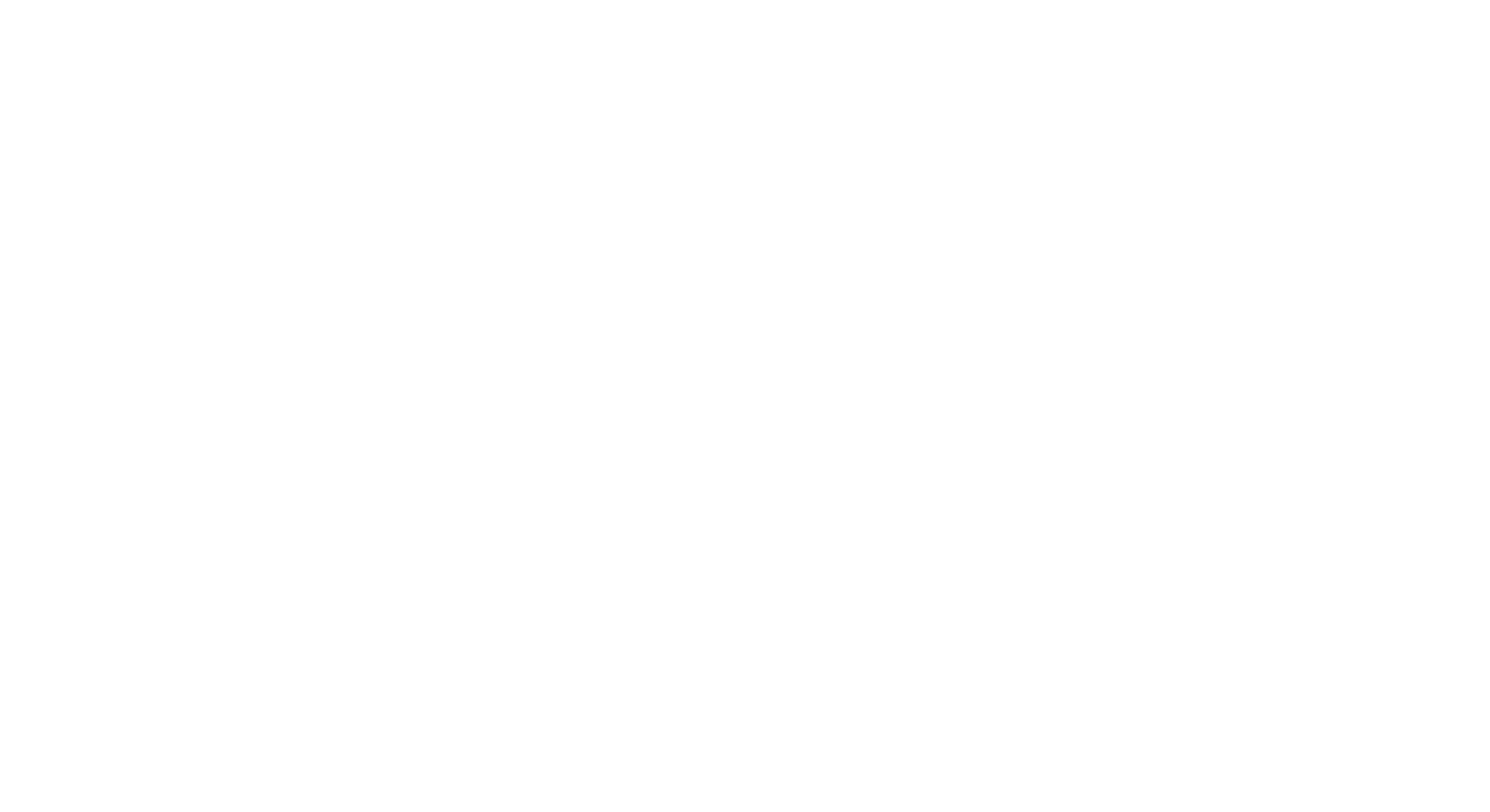 Logo de BIM Services en blanc