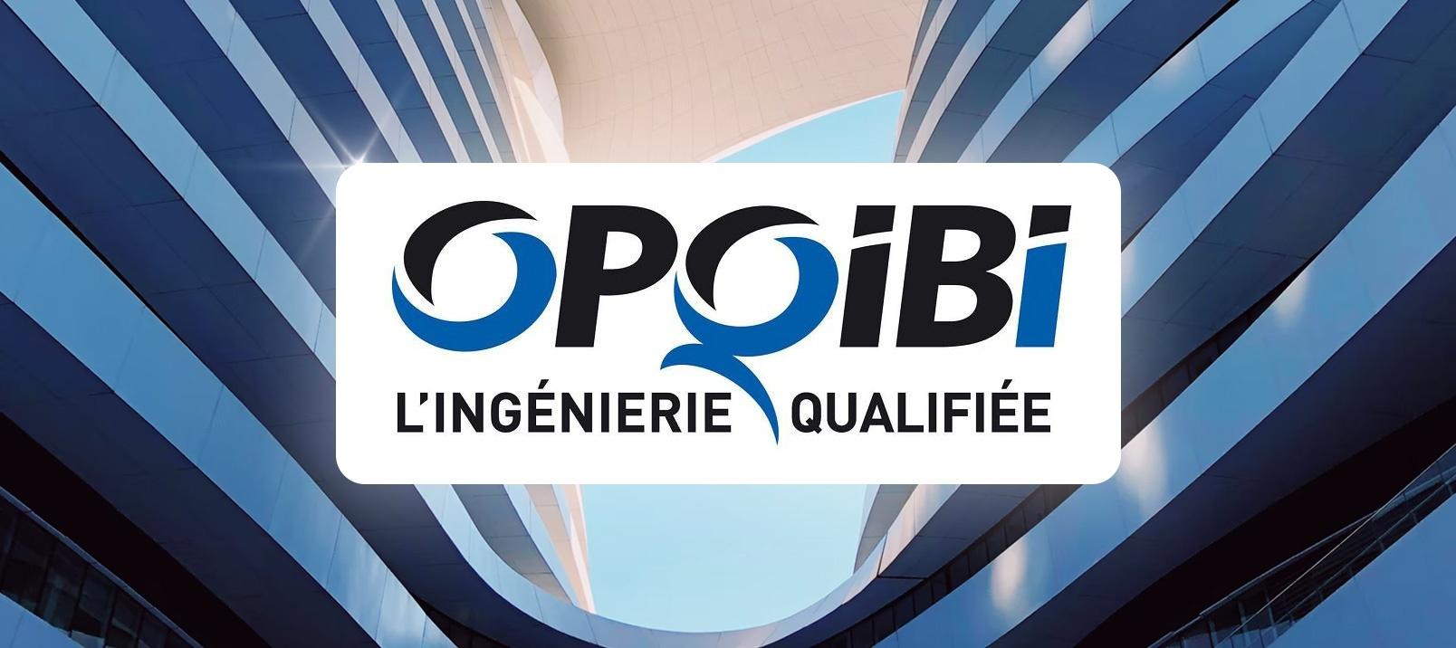 BIM Services est qualifié OPQIBI pour son BIM management